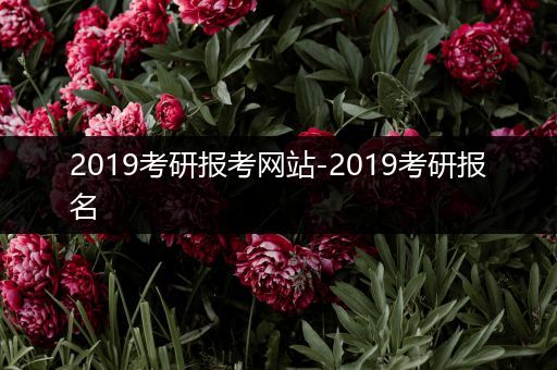 2019考研报考网站-2019考研报名