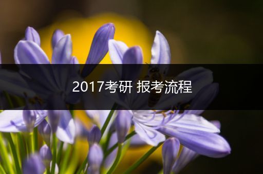 2017考研 报考流程