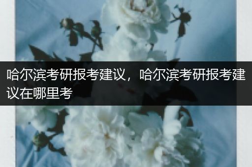 哈尔滨考研报考建议，哈尔滨考研报考建议在哪里考