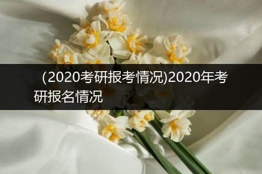 （2020考研报考情况)2020年考研报名情况