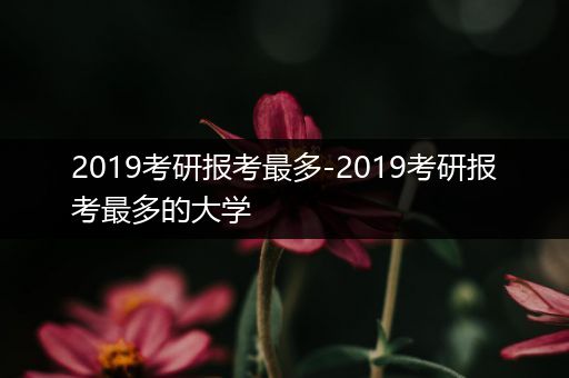 2019考研报考最多-2019考研报考最多的大学