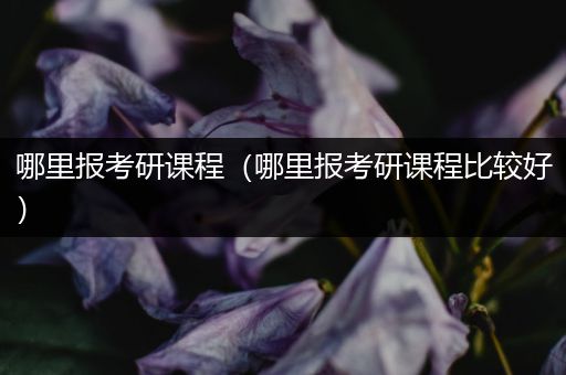 哪里报考研课程（哪里报考研课程比较好）