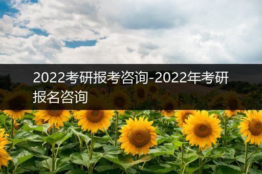 2022考研报考咨询-2022年考研报名咨询