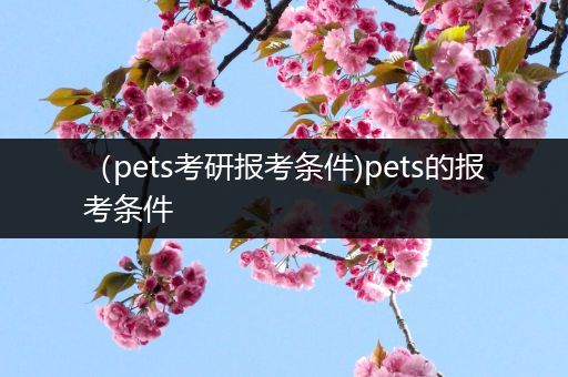 （pets考研报考条件)pets的报考条件