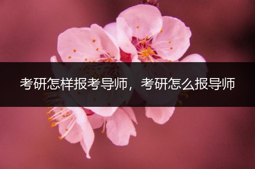 考研怎样报考导师，考研怎么报导师