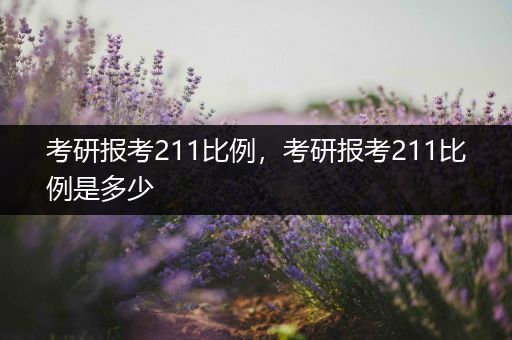 考研报考211比例，考研报考211比例是多少