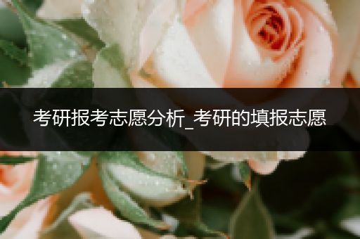 考研报考志愿分析_考研的填报志愿