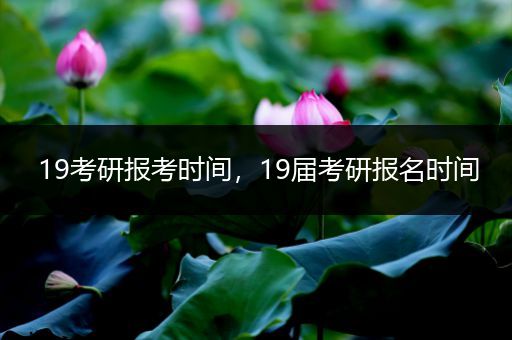 19考研报考时间，19届考研报名时间