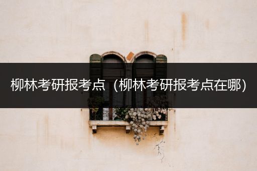 柳林考研报考点（柳林考研报考点在哪）