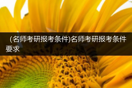 （名师考研报考条件)名师考研报考条件要求