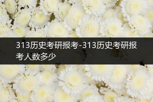 313历史考研报考-313历史考研报考人数多少