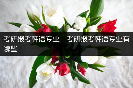 考研报考韩语专业，考研报考韩语专业有哪些