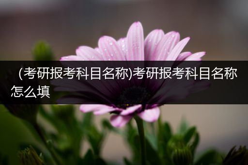 （考研报考科目名称)考研报考科目名称怎么填