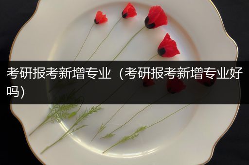 考研报考新增专业（考研报考新增专业好吗）