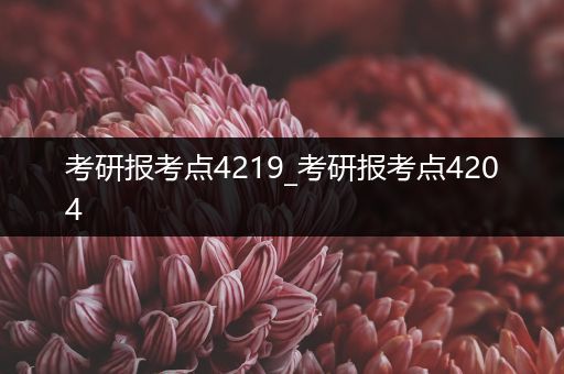 考研报考点4219_考研报考点4204