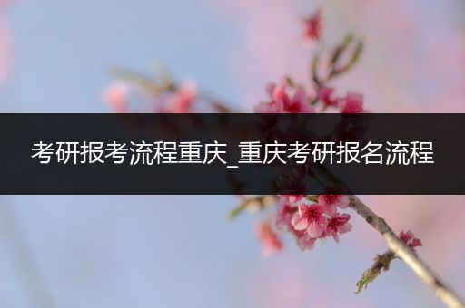 考研报考流程重庆_重庆考研报名流程