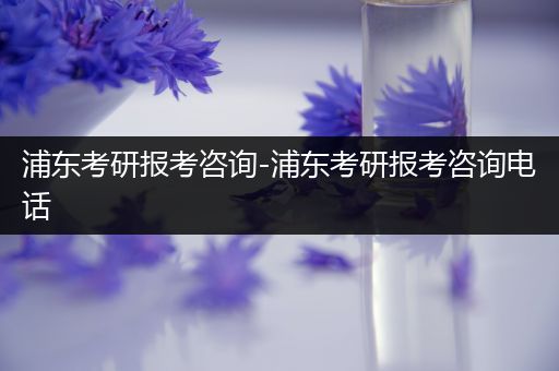 浦东考研报考咨询-浦东考研报考咨询电话