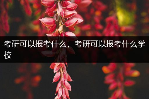 考研可以报考什么，考研可以报考什么学校