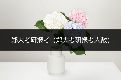 郑大考研报考（郑大考研报考人数）