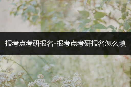 报考点考研报名-报考点考研报名怎么填