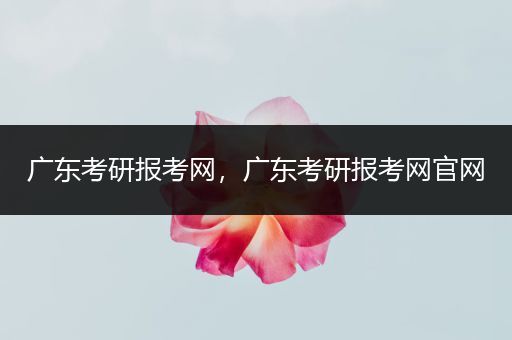 广东考研报考网，广东考研报考网官网