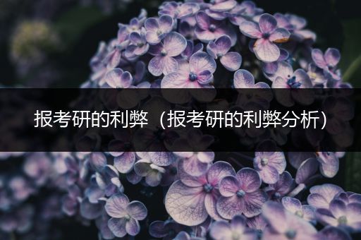 报考研的利弊（报考研的利弊分析）