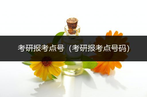 考研报考点号（考研报考点号码）