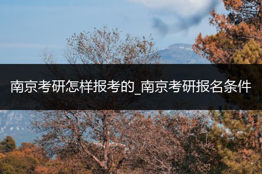 南京考研怎样报考的_南京考研报名条件