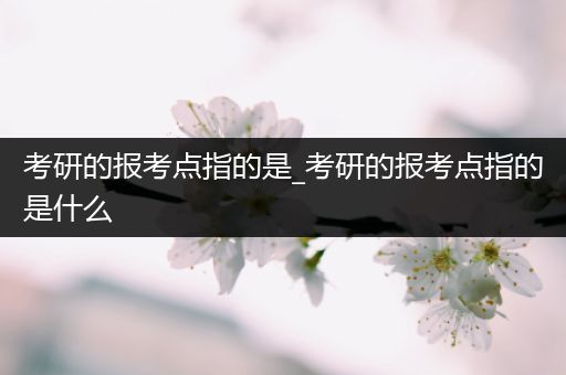 考研的报考点指的是_考研的报考点指的是什么