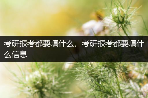 考研报考都要填什么，考研报考都要填什么信息