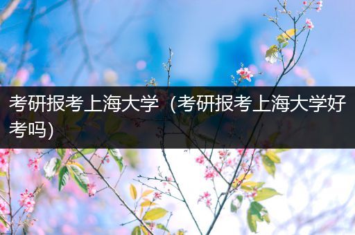 考研报考上海大学（考研报考上海大学好考吗）