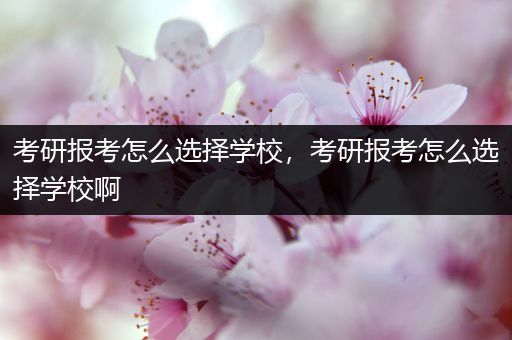 考研报考怎么选择学校，考研报考怎么选择学校啊