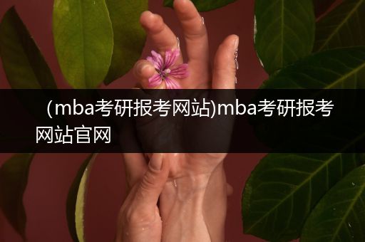 （mba考研报考网站)mba考研报考网站官网