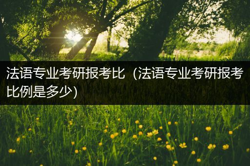 法语专业考研报考比（法语专业考研报考比例是多少）