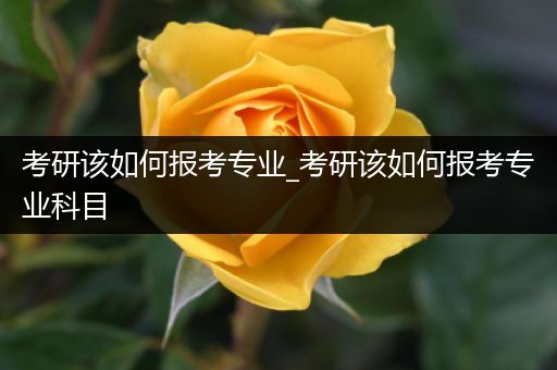 考研该如何报考专业_考研该如何报考专业科目