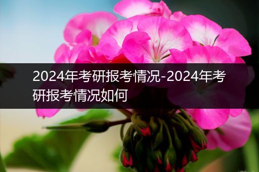 2024年考研报考情况-2024年考研报考情况如何