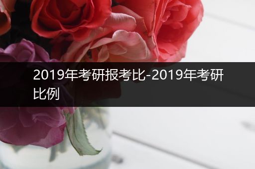 2019年考研报考比-2019年考研比例