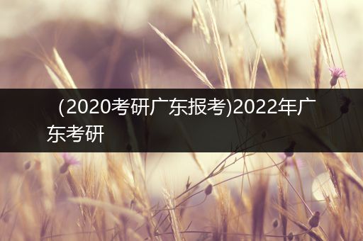 （2020考研广东报考)2022年广东考研