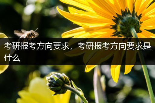 考研报考方向要求，考研报考方向要求是什么