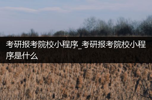 考研报考院校小程序_考研报考院校小程序是什么