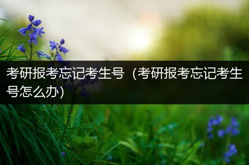 考研报考忘记考生号（考研报考忘记考生号怎么办）