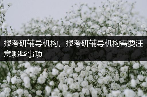 报考研辅导机构，报考研辅导机构需要注意哪些事项