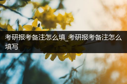 考研报考备注怎么填_考研报考备注怎么填写