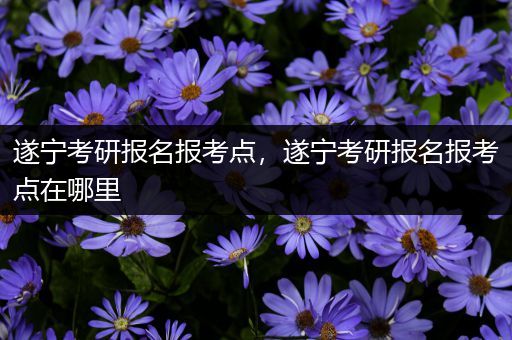 遂宁考研报名报考点，遂宁考研报名报考点在哪里