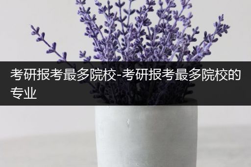 考研报考最多院校-考研报考最多院校的专业