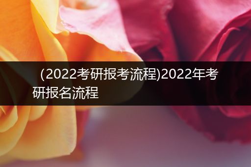 （2022考研报考流程)2022年考研报名流程