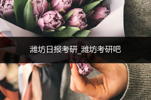 潍坊日报考研_潍坊考研吧