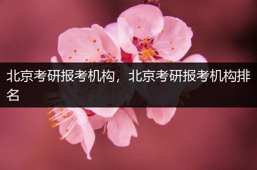 北京考研报考机构，北京考研报考机构排名