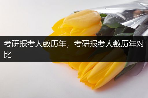 考研报考人数历年，考研报考人数历年对比