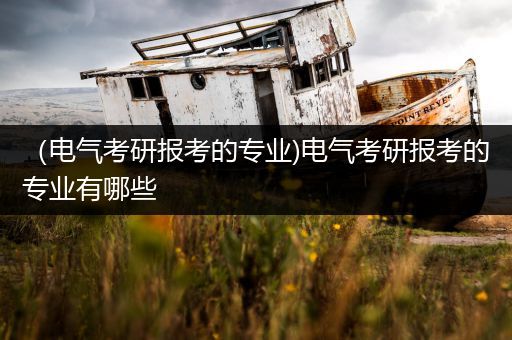 （电气考研报考的专业)电气考研报考的专业有哪些